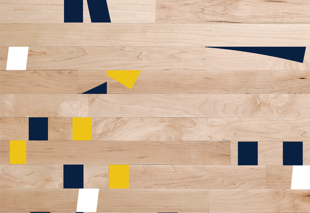 Fanwall—Custom Sport Floor—Ann Arbor, MI